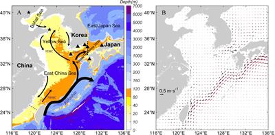 Numerical study of tidal effect on the water flux across the Korea/Tsushima Strait